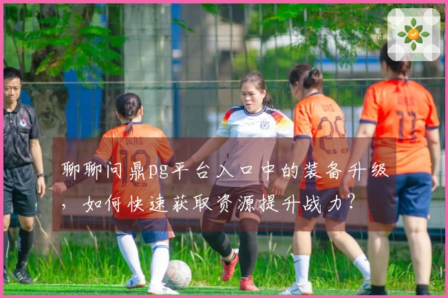 聊聊问鼎pg平台入口中的装备升级，如何快速获取资源提升战力？